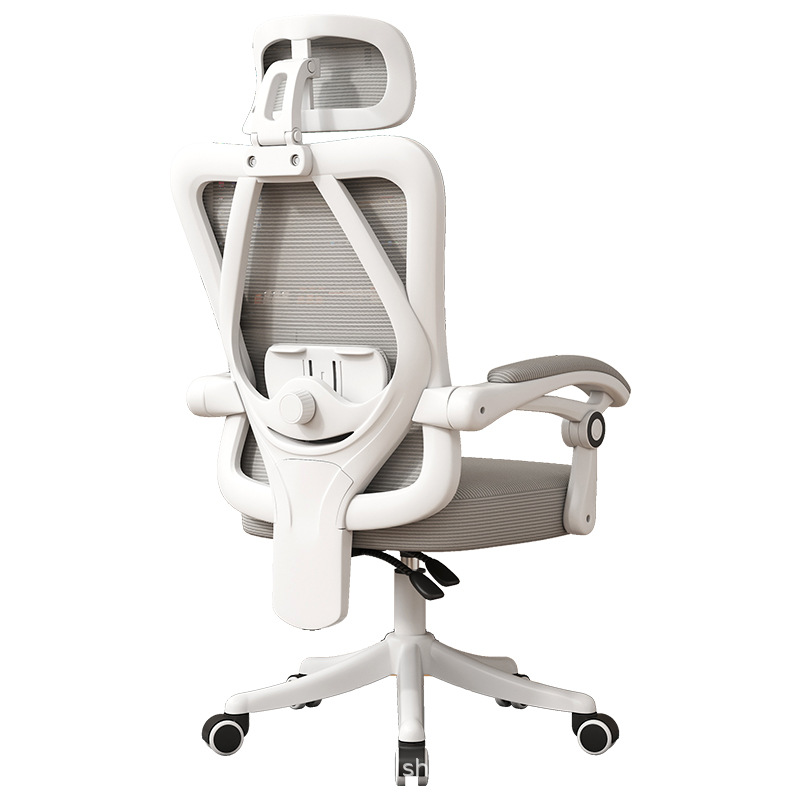 인체공학적 메쉬 사무실 의자, 조절 가능한 요추 지지대 - Pc Gaming Chair 리뷰 및 가격
